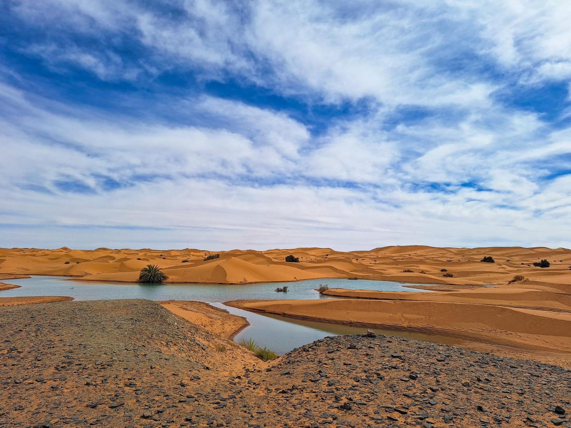 Maison Merzouga Guest House Екстериор снимка