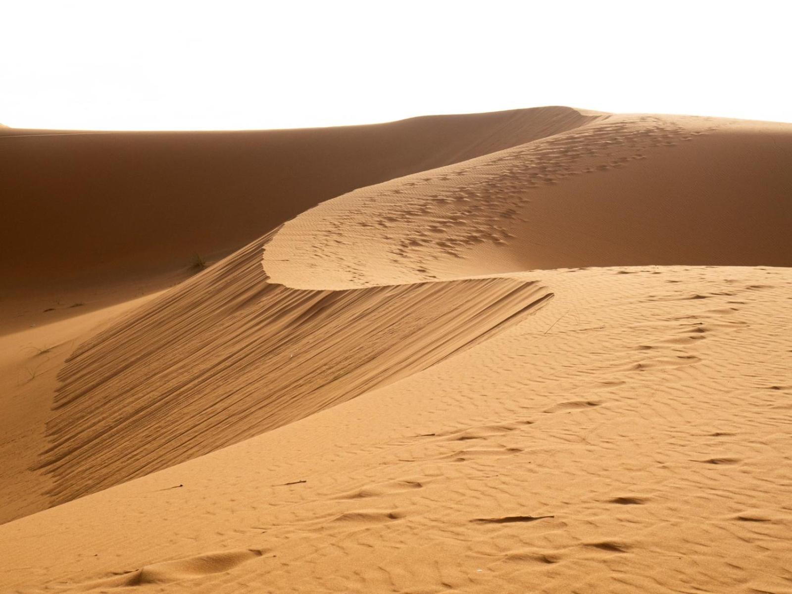 Maison Merzouga Guest House Екстериор снимка